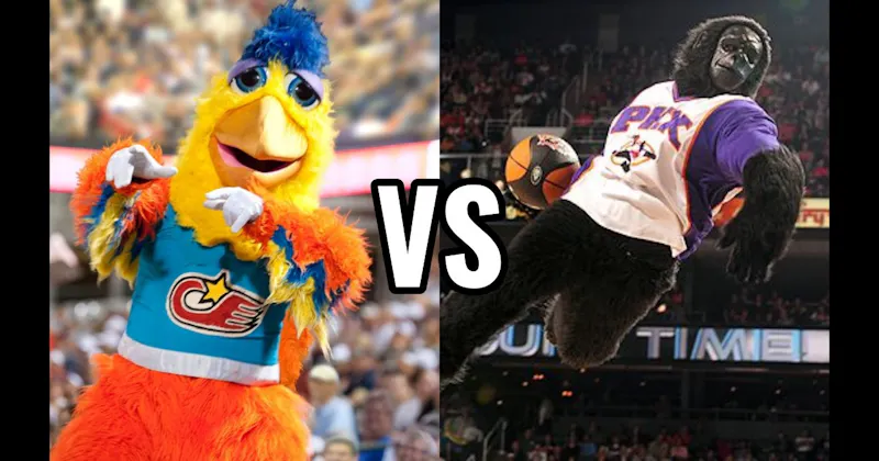 The San Diego Chicken vs. The Suns Gorilla (Phoenix Suns)