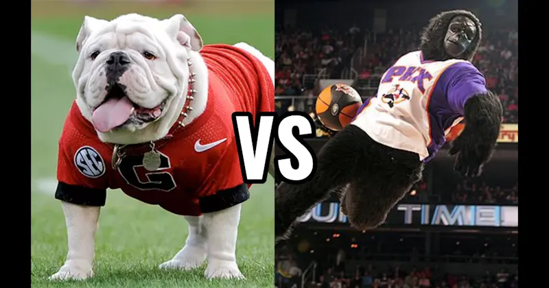 The Suns Gorilla (Phoenix Suns) vs. Uga (Georgia Bulldogs)