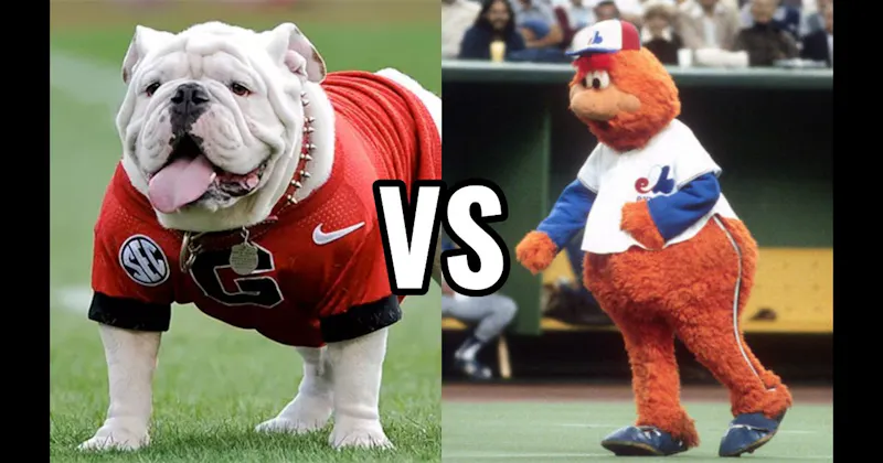 Uga (Georgia Bulldogs) vs. Youppi! (Montreal Canadiens / Expos)