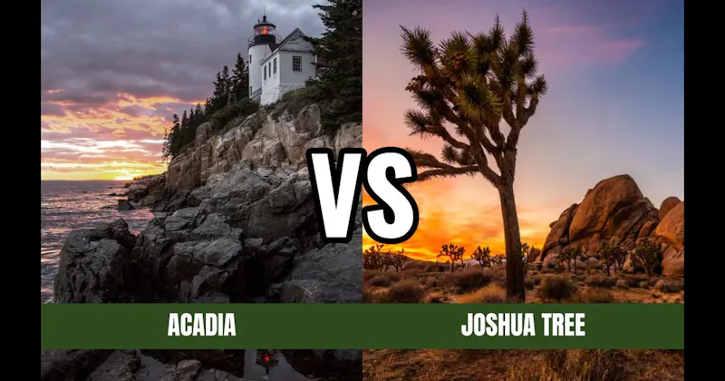 Acadia National Park vs. Joshua Tree National Park