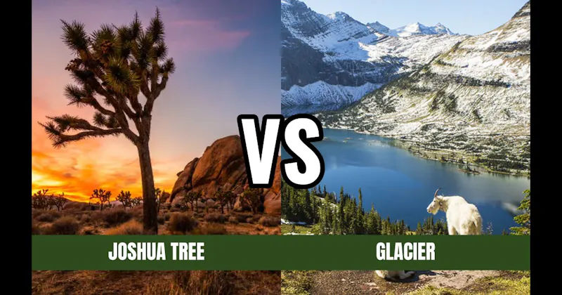 Glacier National Park vs. Joshua Tree National Park