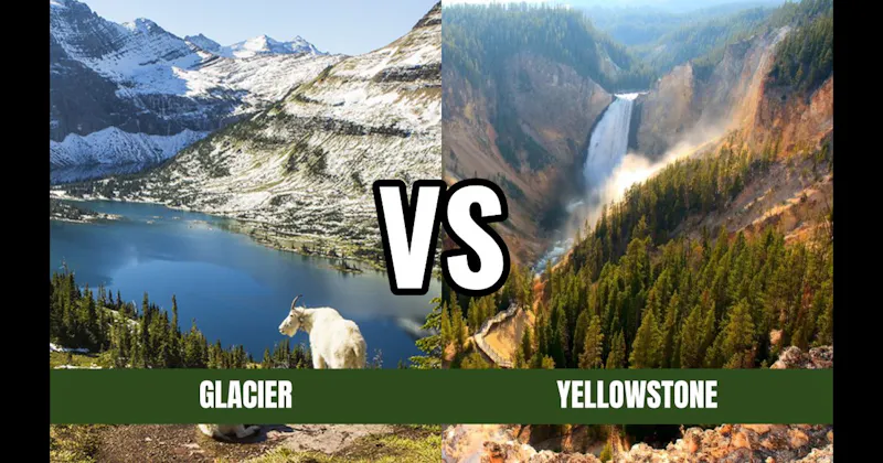Glacier National Park vs. Yellowstone National Park