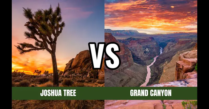 Grand Canyon National Park vs. Joshua Tree National Park