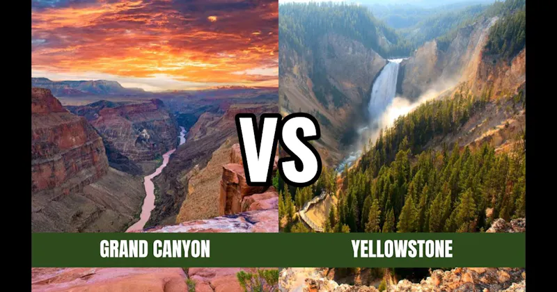 Grand Canyon National Park vs. Yellowstone National Park