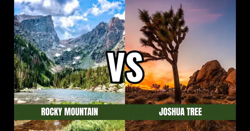 Joshua Tree National Park vs. Rocky Mountain National Park