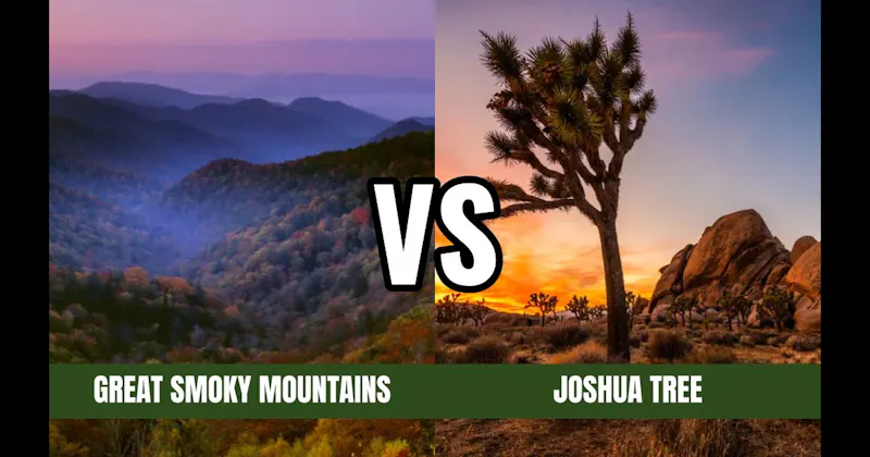 Joshua Tree National Park vs. Smoky Mountains National Park