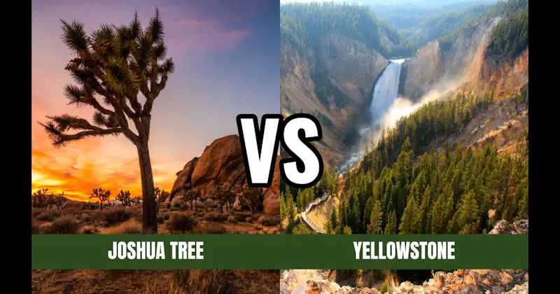 Joshua Tree National Park vs. Yellowstone National Park