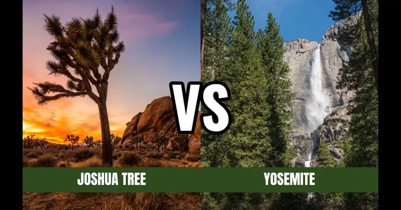 Joshua Tree National Park vs. Yosemite National Park