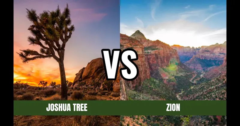 Joshua Tree National Park vs. Zion National Park