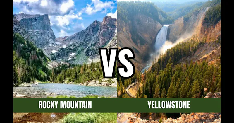 Rocky Mountain National Park vs. Yellowstone National Park