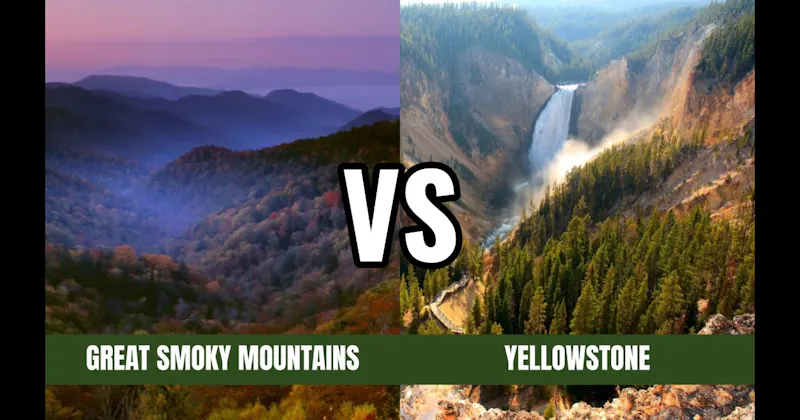 Smoky Mountains National Park vs. Yellowstone National Park