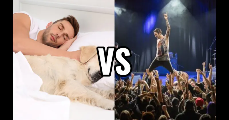 Live Music/Concert vs. Sleeping In