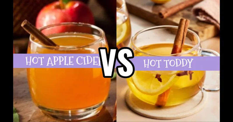 Hot Apple Cider vs. Hot Toddy