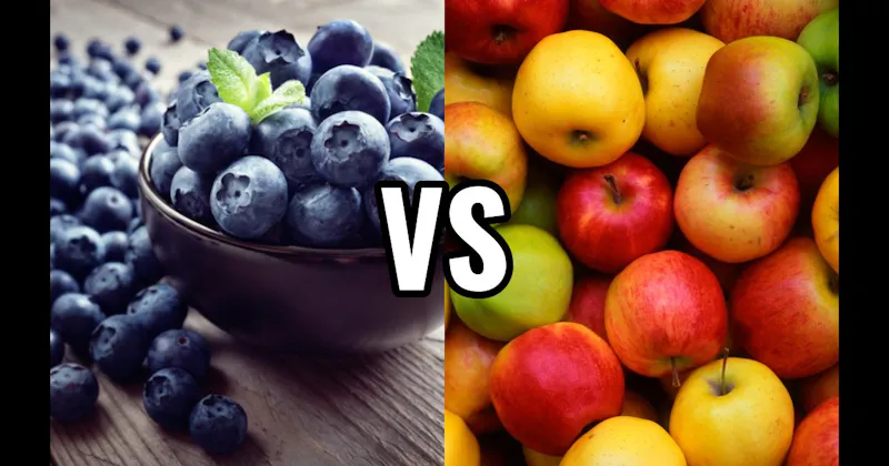 Apple (fruit) vs. Blueberry