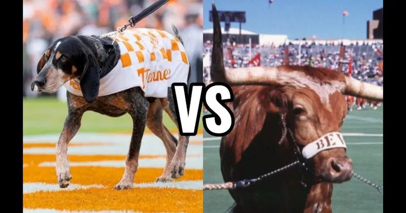 Bevo (Texas Longhorns) vs. Smokey (Tennessee Volunteers)