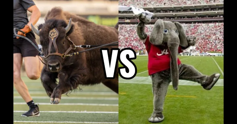 Big Al (Alabama Crimson Tide) vs. Ralphie (Colorado Buffaloes)