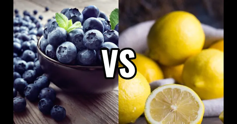 Blueberry vs. Lemon