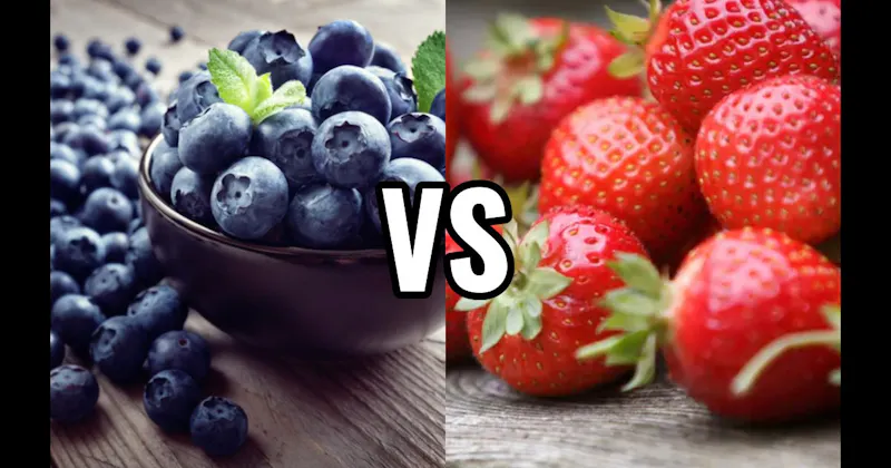 Blueberry vs. Strawberry