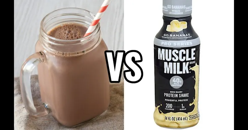 Chocolate Milk vs. Protein Shake