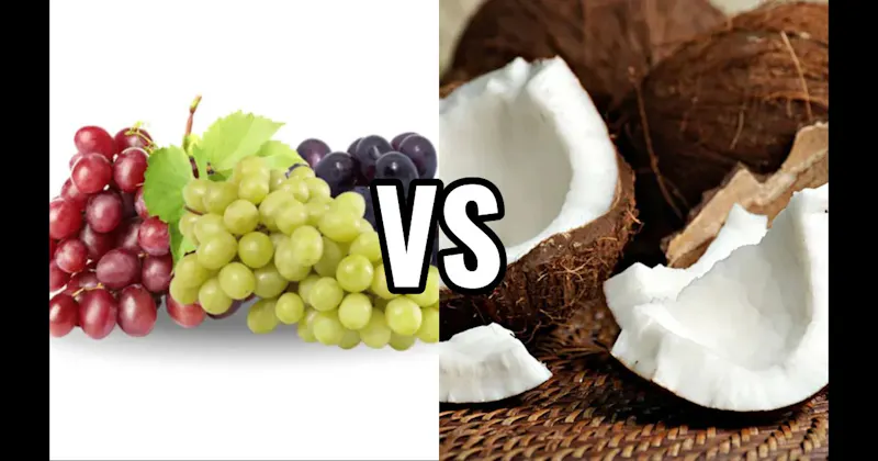 Coconut vs. Grapes