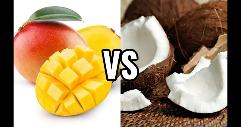 Coconut vs. Mango