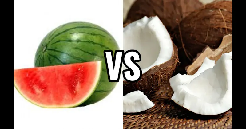 Coconut vs. Watermelon