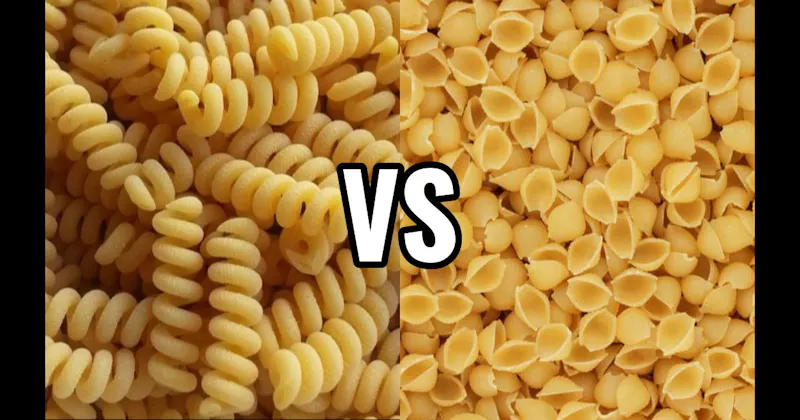 Conchiglie vs. Fusilli