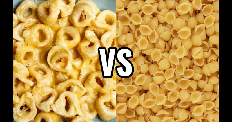 Conchiglie vs. Tortellini