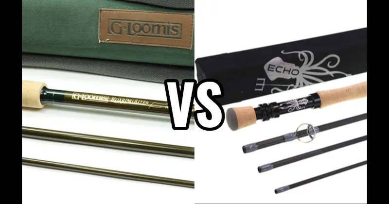 Echo vs. G. Loomis