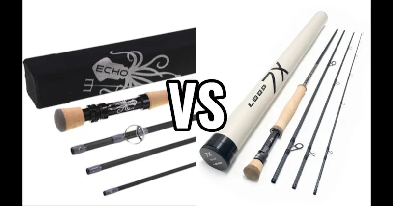 Echo vs. Loop