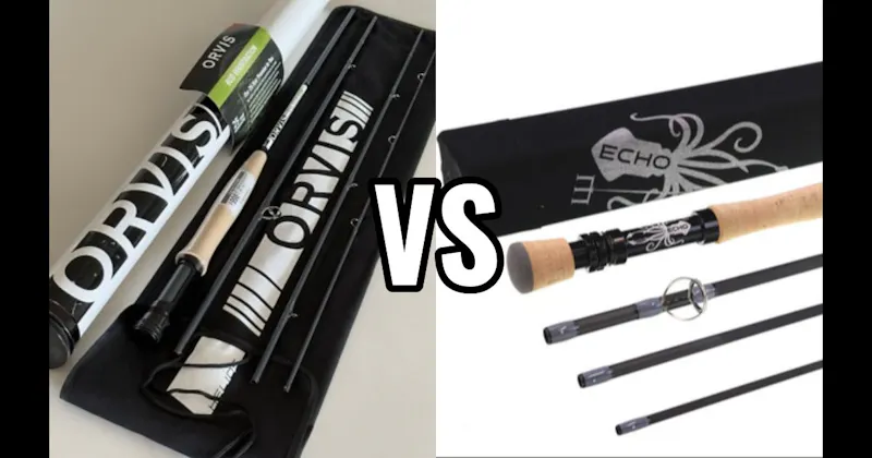 Echo vs. Orvis