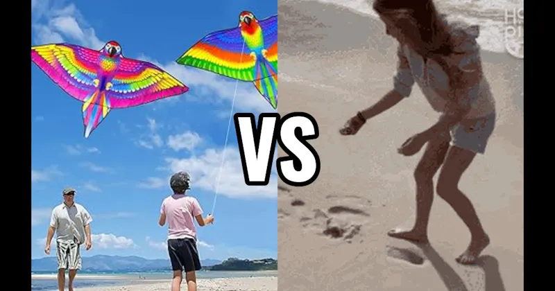 Fly a Kite vs. Hunt for Seashells