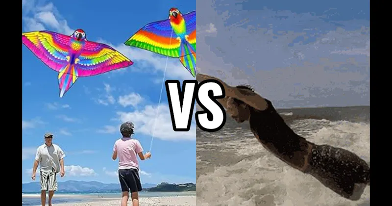 Fly a Kite vs. Jump Waves