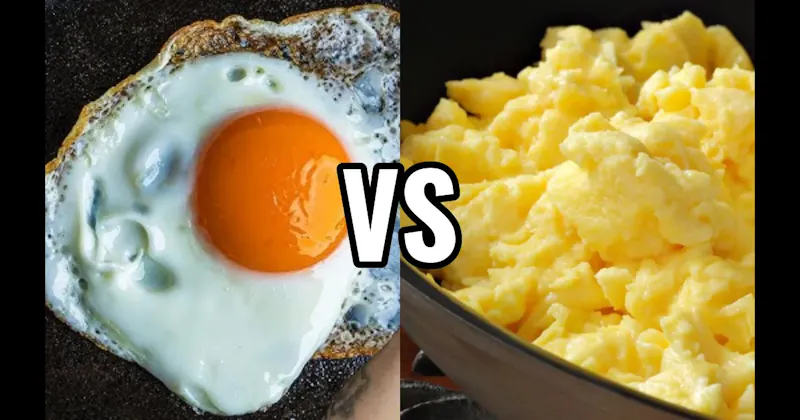 Fried Eggs vs. Scrambled Eggs