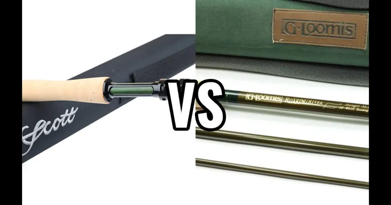G. Loomis vs. Scott