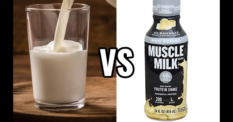 Milk vs. Protein Shake