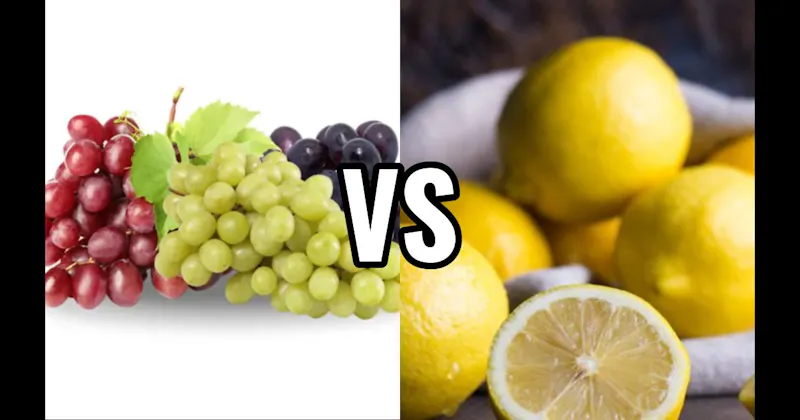 Grapes vs. Lemon
