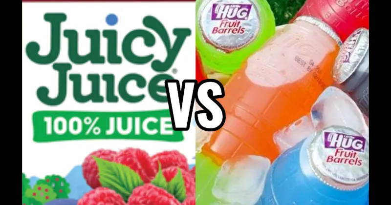 JUICY JUICE vs. LITTLE HUG FRUIT BARRELS