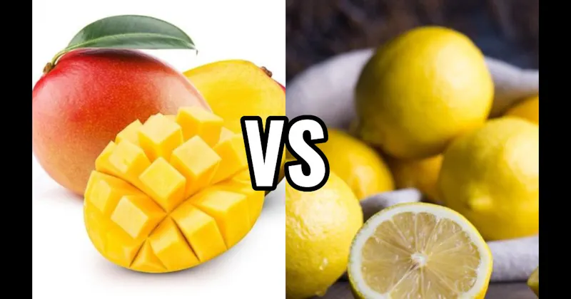 Lemon vs. Mango
