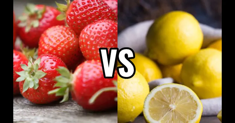 Lemon vs. Strawberry