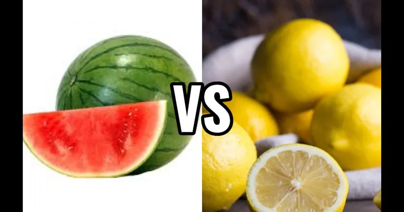 Lemon vs. Watermelon