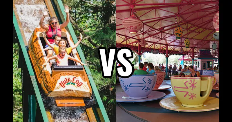 Log Flume vs. Tea Cups