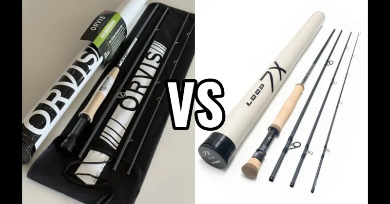 Loop vs. Orvis