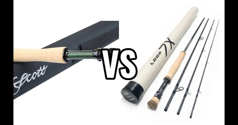 Loop vs. Scott