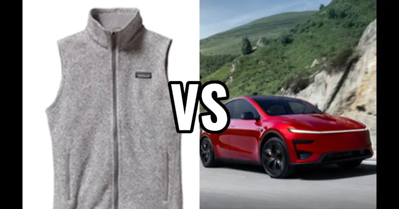 PATAGONIA VEST vs. TESLA MODEL Y