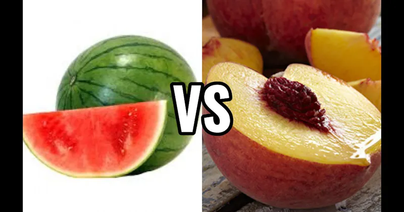 Peach vs. Watermelon