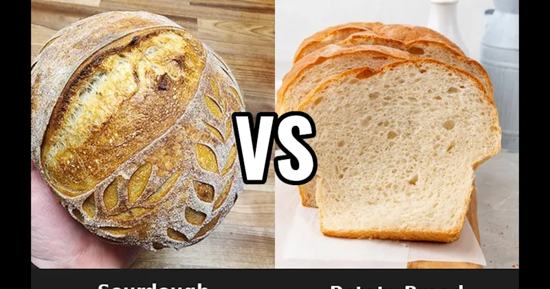 Potato Bread vs. Sourdough