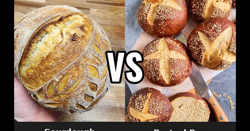 Pretzel Bun vs. Sourdough