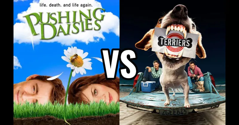 Pushing Daisies vs. Terriers