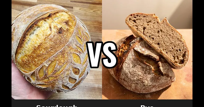 Rye vs. Sourdough